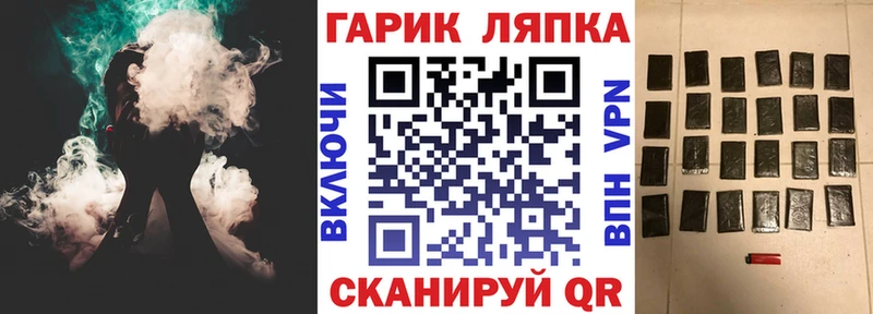 ГАШ Premium  Яблоновский 