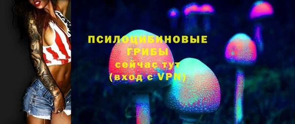 дмт Белокуриха