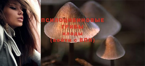 дмт Белокуриха