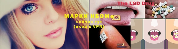 дмт Белокуриха