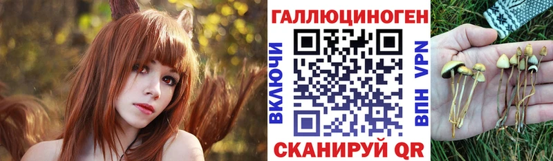 Псилоцибиновые грибы мицелий  Яблоновский 